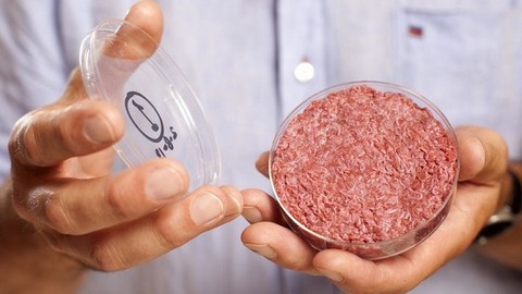 thịt nh&acirc;n tạo